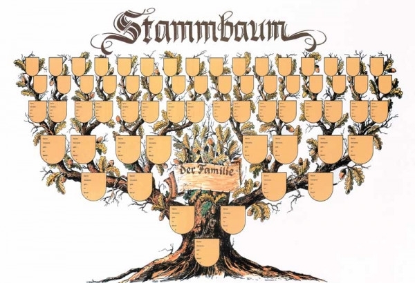 Poster - Kunstdruck - Stammbaum Poster - Kunstdruck - Stammbaum