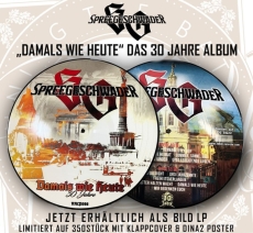 Spreegeschwader – Damals wie Heute - Picture LP Spreegeschwader – Damals wie Heute - Picture LP