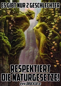 Naturgesetz - Aufkleber Paket 50 Stück Naturgesetz - Aufkleber Paket 50 Stück