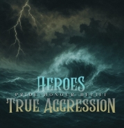 True Aggression / Heroes - Pride, Honour, Belief